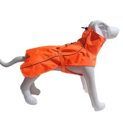 Le Chien Blanc - Manteau Équinoxe - Orange