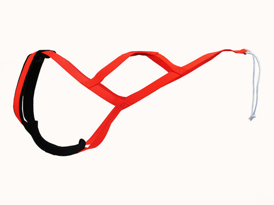 Hunter - Harnais de traction - Turquoise - XL