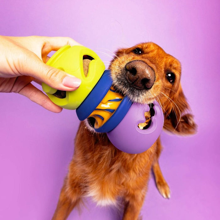 Canada Pooch - WagLab Play Stack - Le Squiggle