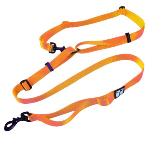 Le Chien Blanc - Laisse MULTI - Orange