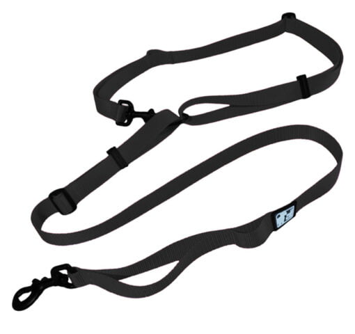 Le Chien Blanc - Laisse MULTI - Noir