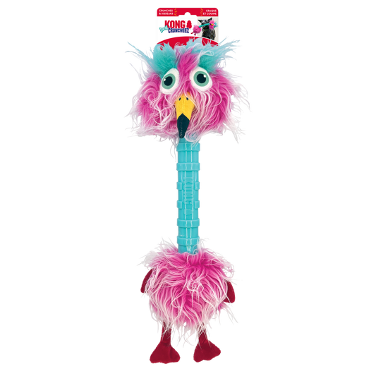 Kong - Bird -Craque et Couine