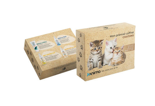 Zanimo - Mon Premier Coffret Chatons