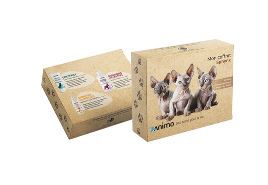 Zanimo - Mon Premier Coffret Sphynx
