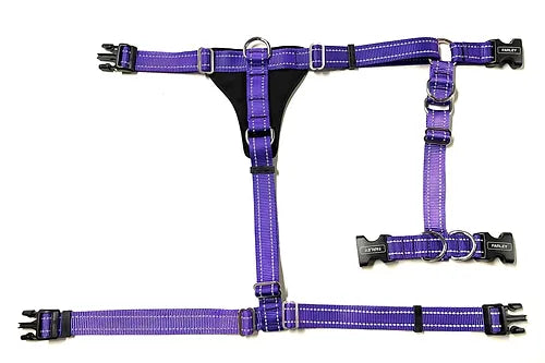 Farley's - Harnais