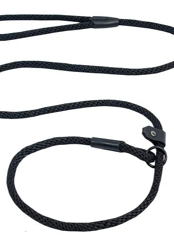 Amarok - Laisse d'Entraînement