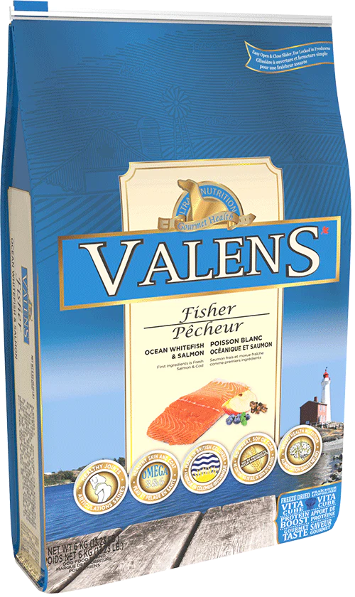 Valens - Chien Pêcheur