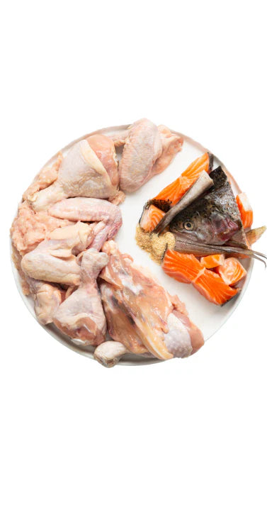 Canino - Mélange Poisson