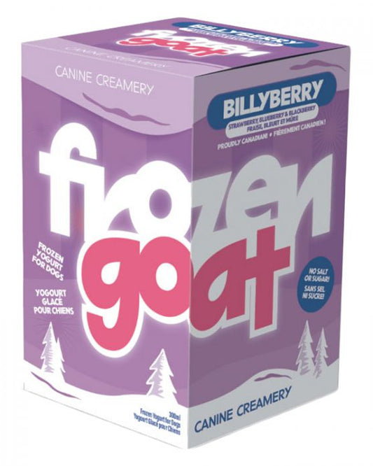 Big Country Raw - Yougourt Glacé - 300mL