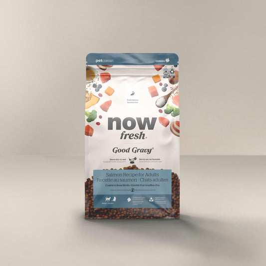 Petcurean - Now Fresh - Good Gravy Saumon - Chat