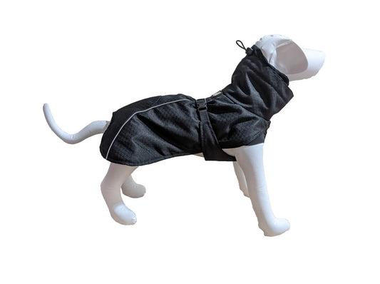 Le Chien Blanc - Mateau d'Hiver Orion