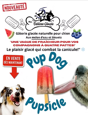 5 étoiles - Pup Dog - pupsicle