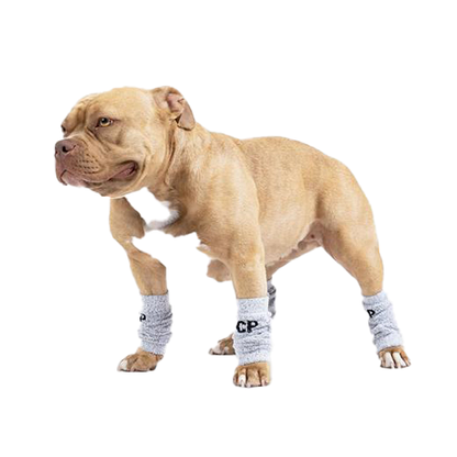 Canada Pooch - Jambières Pour Chien