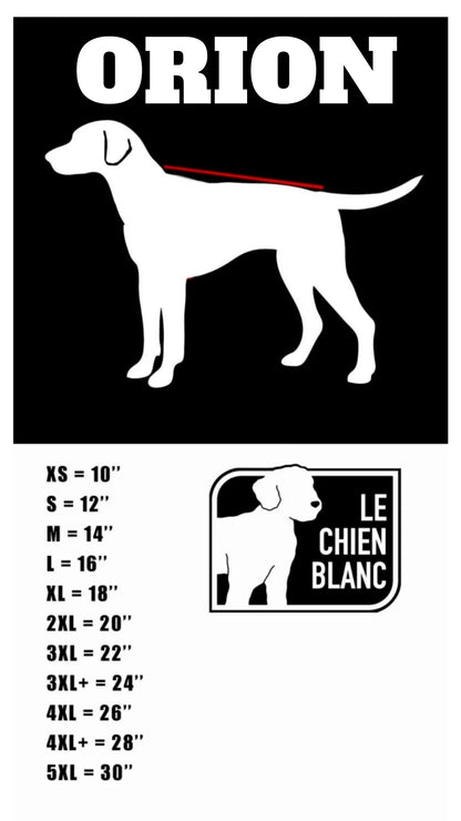 Pré-Commande - Le Chien Blanc - Mateau d'Hiver Orion