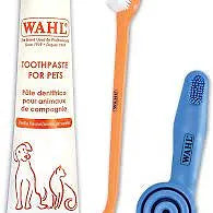 Wahl - Trousse de Nettoyage Dentaire