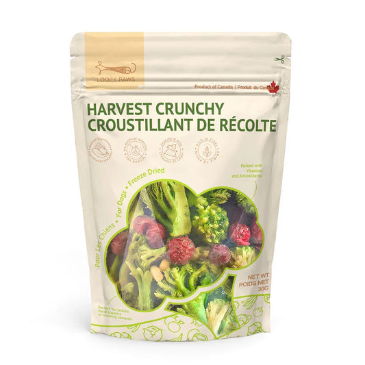 Loopy Paw - Récolte Croquante - 30g