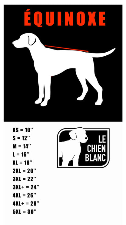 Le Chien Blanc - Manteau Équinoxe - Orange