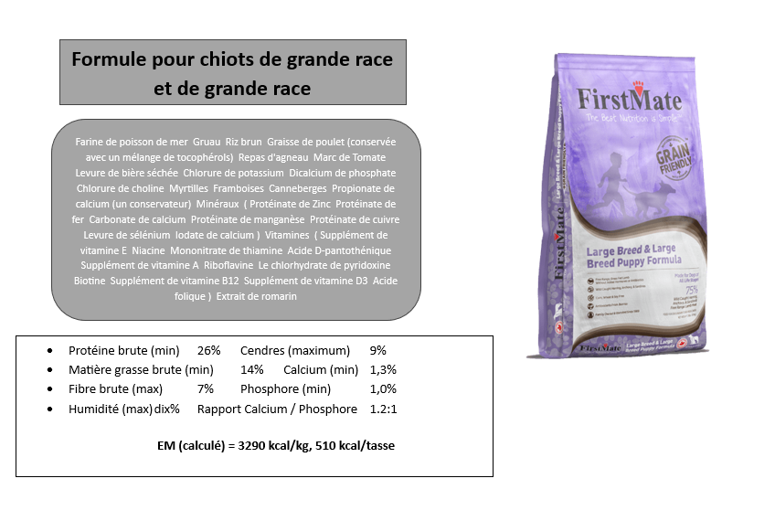 First Mate - Grande Race et Chiot de Grande Race