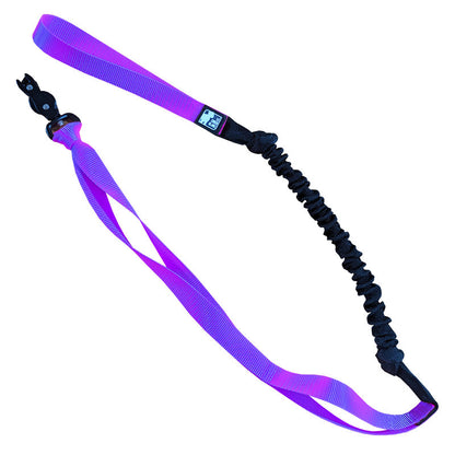 Le chien blanc - Laisse Bungee Canicross