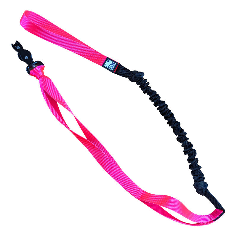 Le chien blanc - Laisse Bungee Canicross