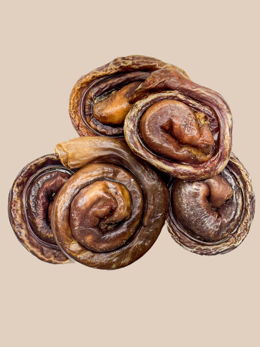 Kyon - Brioche Oesophage De Porc - unité