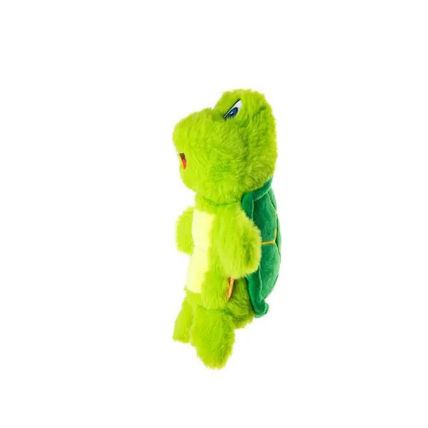 Growl - Belly Boomerz - Tortue