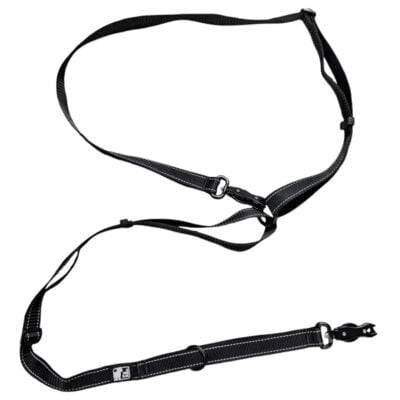 Le Chien Blanc - Longe 15-30p