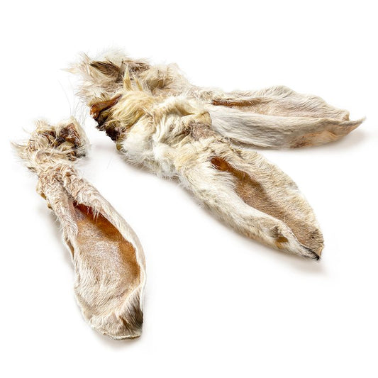 Gourmet 4 Pattes - Oreille Lapin Déshydratée - Unité