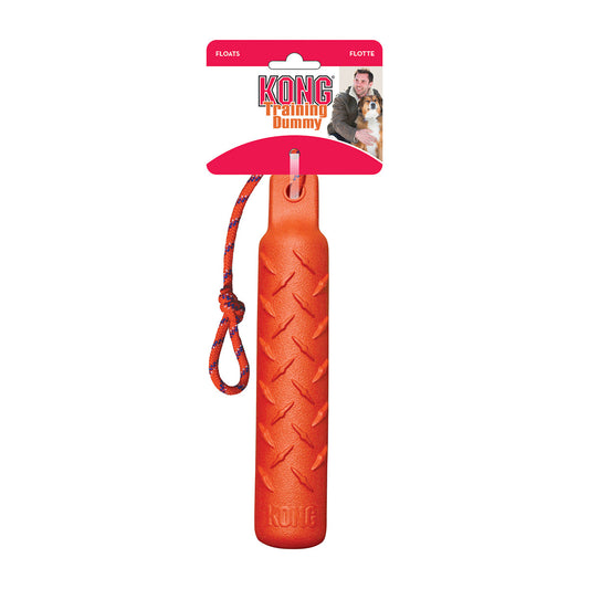 Kong - Dummy Training