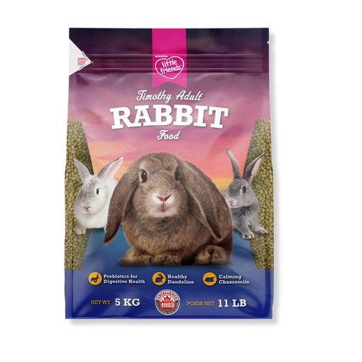 Martin - Lapin Timothy