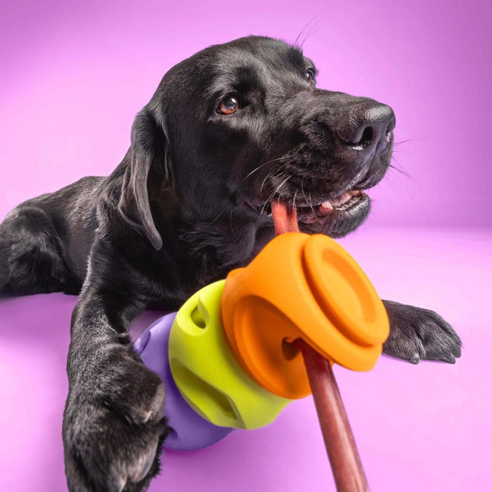 Canada Pooch - WagLab Play Stack- Le Bully