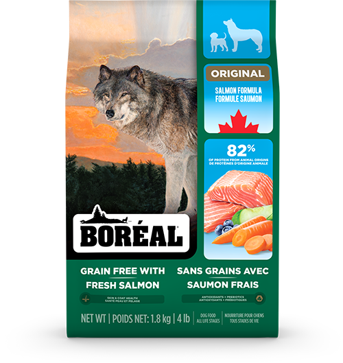 Boréal - Original Saumon Sans Grain - Chien