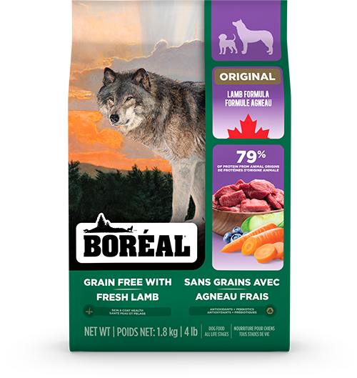 Boréal - Original Agneau Sans Grain - Chien
