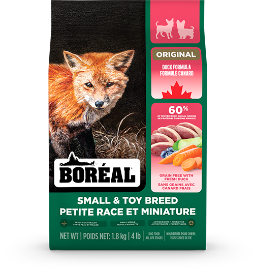 Boréal - Original Canard Sans Grain - Chien Miniature