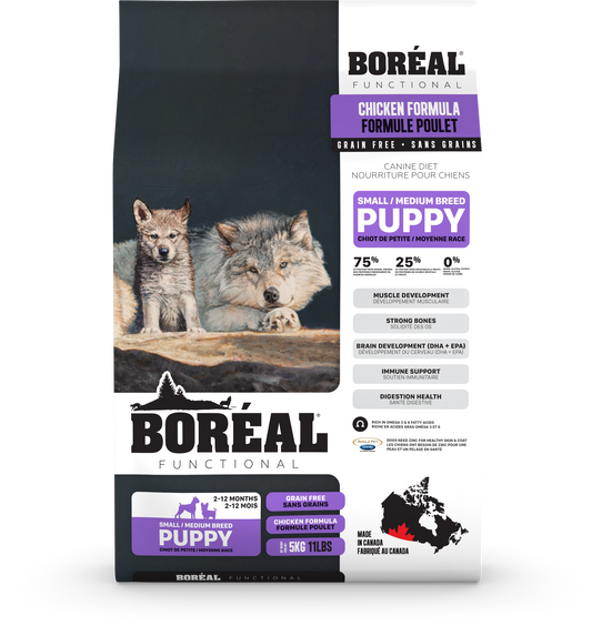 Boréal - Chiot Petite Race Poulet