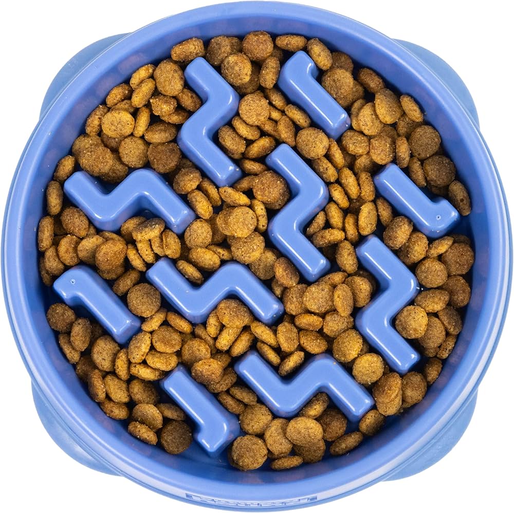 OutwardHound - Slo Bowl - Fun Feeder
