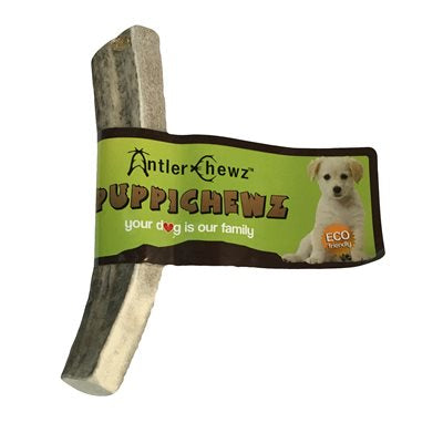 Antler Chewz - Bois De Cerf Tranché - Chiot