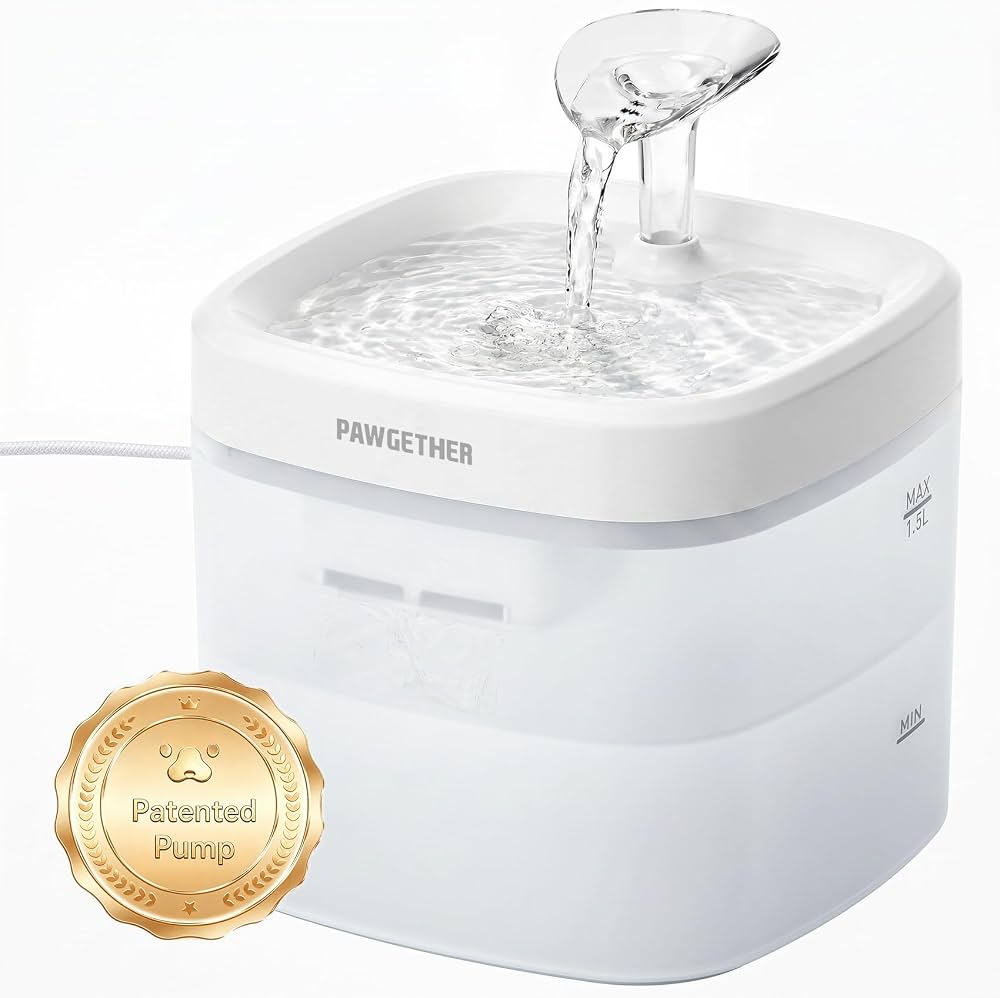 Pawgether - Fontaine À Eau