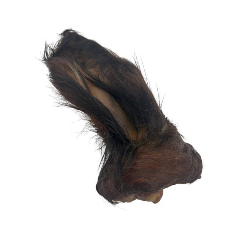 Wawwaw - Oreilles De Boeuf Poilues
