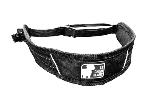 Le Chien Blanc - Ceinture Liberty