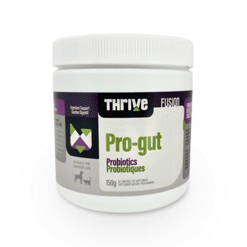 Big Country Raw - Thrive Pro-Gut Probiotiques - 150g