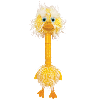 Kong - Bird -Craque et Couine