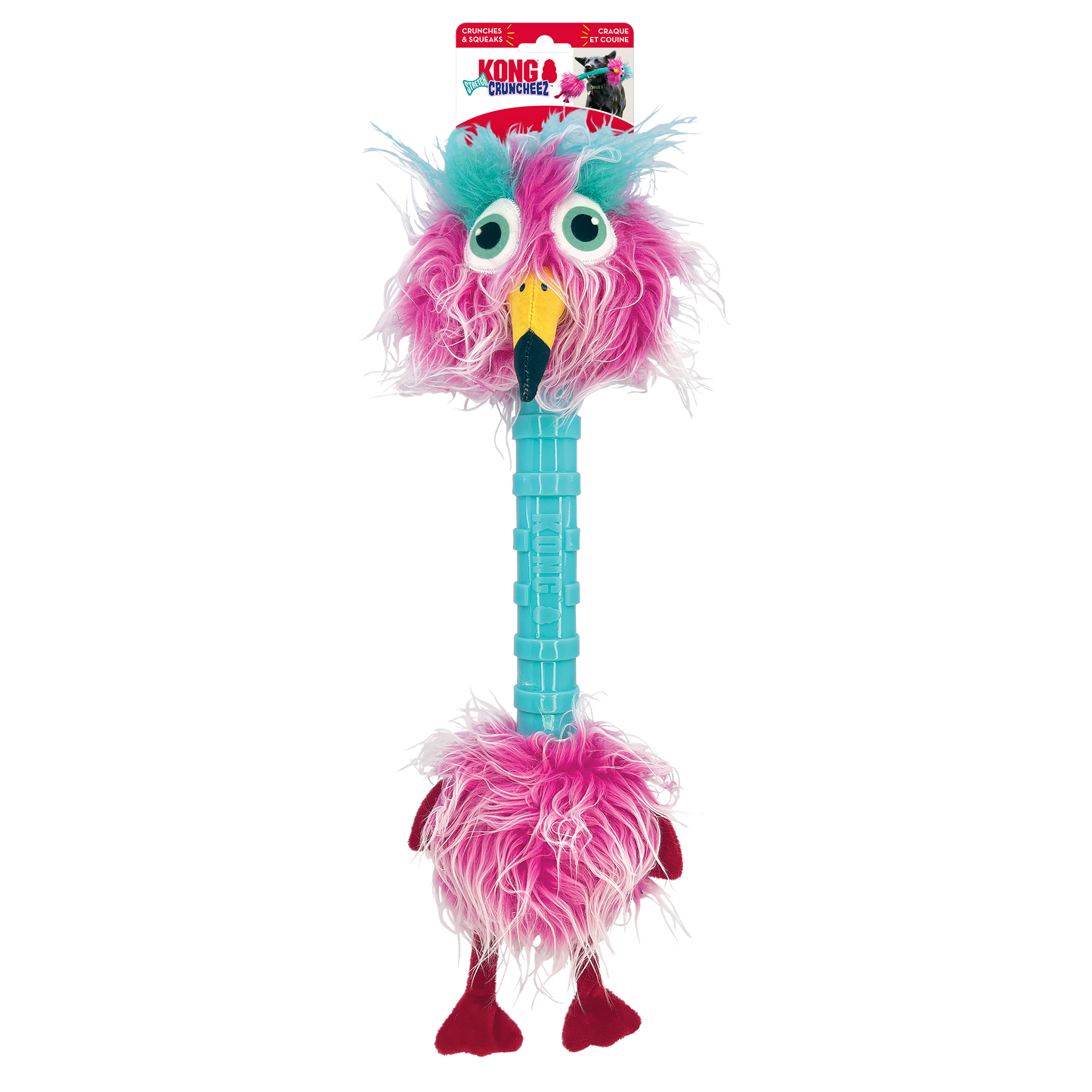 Kong - Bird -Craque et Couine