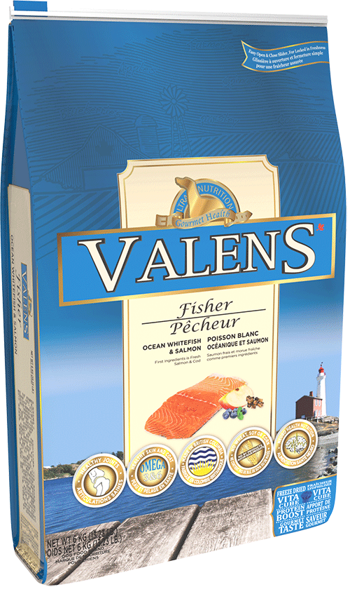 Valens - Chien Pêcheur