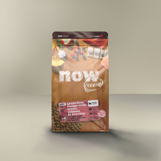Petcurean - Now Fresh - Truite/Saumon/Hareng - Adulte 22 lb